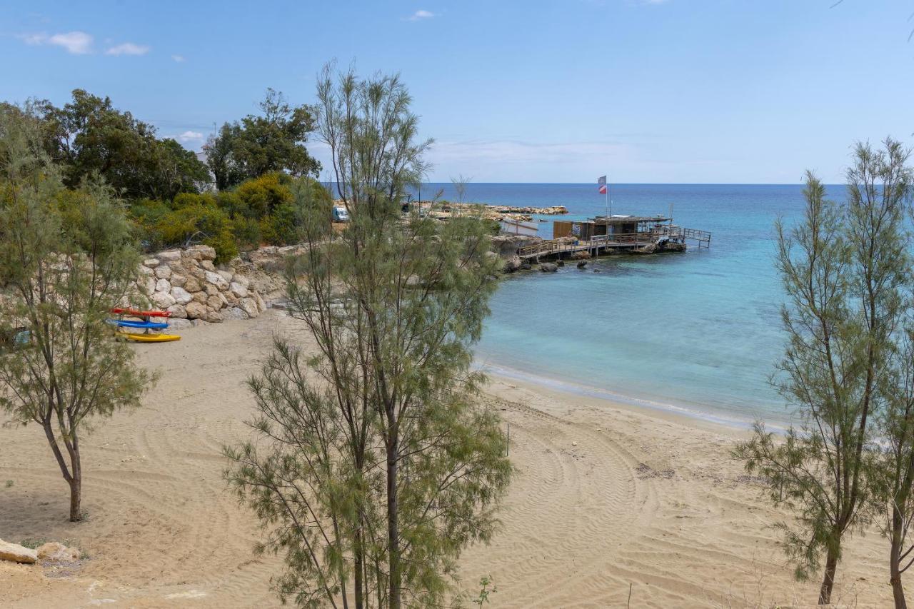 Protaras Nisia Seaside Villa Екстер'єр фото